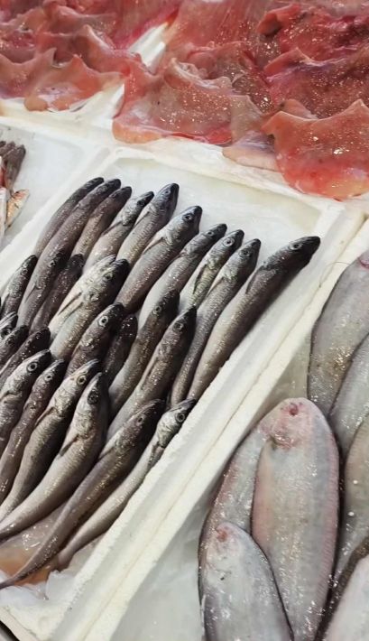 997400d1-0458-44ea-83fe-e2186c049663